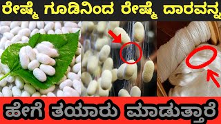 ರೇಷ್ಮೆ ಗೂಡಿನಿಂದ ರೇಷ್ಮೆ ದಾರವನ್ನ  || ಹೇಗೆ ತಯಾರು ಮಾಡುತ್ತಾರೆ #viral #silk #cotton