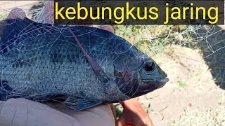 mancing teknik jaring menggunakan umpan