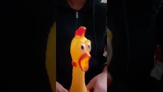 Rubber Chicken, Buck buck Rawr #shorts #rubberchicken #noise #squeak