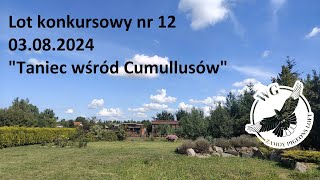 Lot konkursowy nr 12