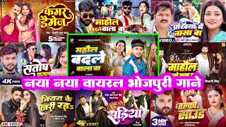 माहौल बदले वाला बा 🔥#Golu Gold   #Ritesh Pandey   Nonstop #Bhojpuri Song   Kamar Kare Lach    Sadiy