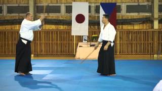 Ichiro Shishiya sensei - Ken tai ken Shomenuchi Ikkyo (18 March 2016)