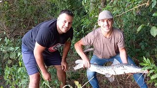 ENCONTRAMOS AL SURUBÍ EN EL BERMEJO- Tiempo Libre