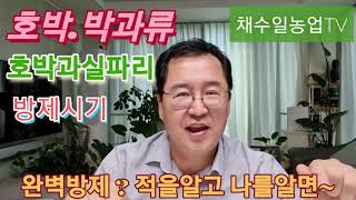 단호박.애호박.박과류의 해충~ 호박과실파리 생활사와 방제~