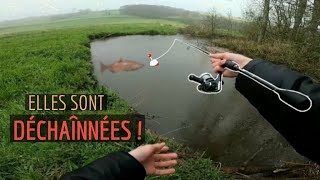 Ces truites sont déchaînées malgré la tempête ! (pêche de la truite au leurre)