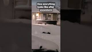 How everything looks like after snow storm #shorts #shortsvideo #viral #viralshorts #snowstorm