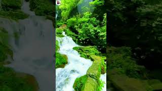 Majestic Mountains to Serene Waterfalls|#NatureEscape#MountainMajesty#WaterfallWonders