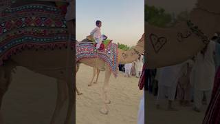 Little Baby camel Ride|white Desert #trending  #shorts  #short  #viralvideo