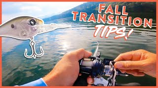 How to Catch MORE Bass During the Fall Transition! | Best Baits & Locations