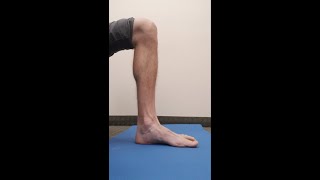 Seated Foot Intrinsics: Arch Activation