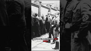 The Night of the Long Knives #history #militaryhistory #historyfacts #youtubeshorts #short #shorts