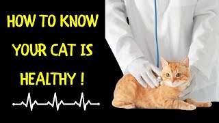 How To Know Your Cat Is Healthy | Ways to Keep My Cat Healthy