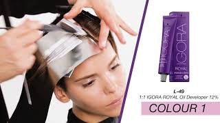 Fashion Lights Colour Transformation by Schwarzkopf Professional