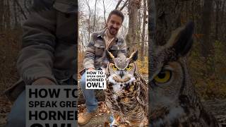 How to Speak Great Horned Owl 🦉 #naturalist #natureeducation #greathornedowl #owls