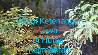 Terapi Ketenangan Jiwa Di Hutan Kalimantan