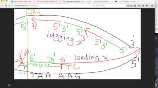 Tutorial replication termination