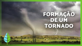 Como surge um TORNADO? 🌪️ | Definição, Formação e Como Sobreviver a um Tornado ✅