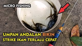 MICRO FISHING - STRIKE IKAN SUPER CEPAT MANCING UCENG HANYA DENGAN UMPAN ROTI KLIK