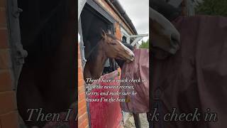 Life of a Cheltenham Gold Cup winner Coneygree! #horseracing #horses #horsesofinstagram