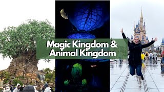 Disney World Vlog Feb 2022 | DAY 3 PART 2 | Magic Kingdom & Animal Kingdom 6 Rides in Under 2 Hours