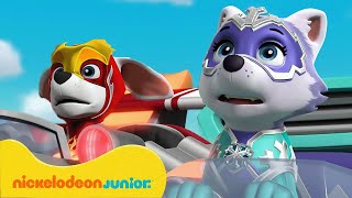 PAW Patrol: La Pat' Patrouille | Missions de feu et de glace pour les Super chiots | Nickelodeon Jr.