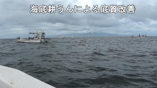 海底耕うんによる底質改善