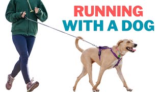 Tips for Running With Your Dog - What is Often Overlooked for Their Health