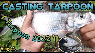 CASTING TARPOON ( Tarpoon 2022 ) Vlog.44