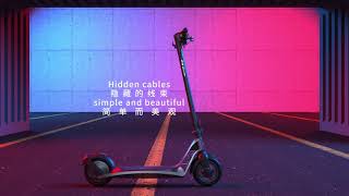 Electric Scooters --H10