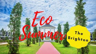 Eco Summer-The Brighton