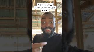 How To Succeed As A Farmer in Africa #semanhyiafarms #farming #farminginafrica