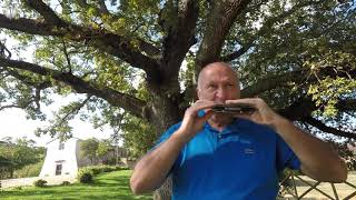 (J.S.Bach) Prelude dalla suite No. 2 in D minor for Harmonica