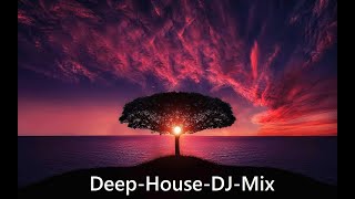 Deep House-Mix | melodical Beats by MohrFlow (w/ Nora En Pure, Stil & Bense, Joris Voorn,...) 5.2023