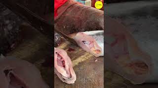 KASIMEDU BIG ARAKOLA WAAHO FISH CUTTING VIDEO #kasimeduselvam #shorts #bigfishcutting #youtube