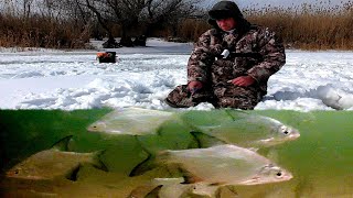 ПОД НАМИ КУЧА РЫБЫ!!! Густера, чехонь, судак и другие. Рыбалка в Астрахани.