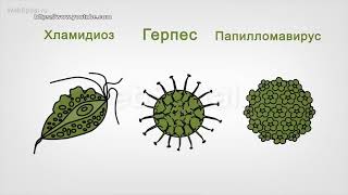 «Будем здоровы!» (профилактика онкологии – 2)