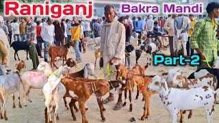 रानीगंज बकरा मंडी आज की मंडी का रेट |Part-2 |Raniganj ki Bakri Bazar