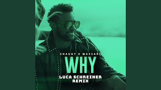 Why (Luca Schreiner Remix)