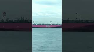 Mega Container Ship & 4 Assist Tugs #shorts #seaman #seaworld #largest #biggest #trending #viral