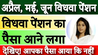 Vidhwa pension kab aaegi | Up vidhwa pension kab aayegi | विधवा पेंशन कब आएगी |