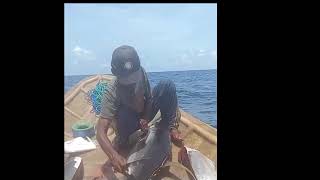 Amazing Mancing Ikan Tuna || Eksplorasi Perairan Wakatobi Indonesia Part II