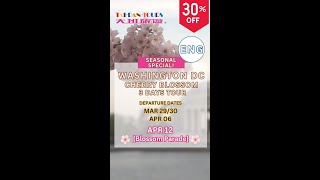 30%OFF! 🌸Once In A Year! Washington DC Cherry Blossom Festival~