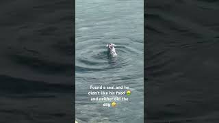 Seal doesn’t like his meal 😂 #funny