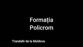 Formatia Policrom-Trandafir de la Moldova