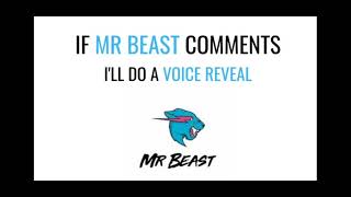 IF MR.BEAST COMMENT ON THIS VIDEO I WILL DO A VOICE REVEAL!