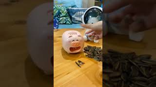 Automatic Sunflower Seed Peeling Piggy Machine #tiktokmademebuyit #coo      TikTok