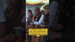 Moment Pertama Kali Gubernur NTT Diajak Menggunakan Sarung Tinju Adat di Desa Libunio#shorts