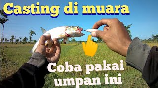 casting ikan tarpon dan payas dengan umpan stikbait sinking