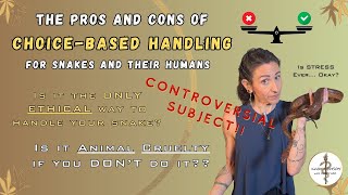 Pros And Cons Of Choice-Based Handling for Snakes: Exploring Ethics, Methodology, and Stress