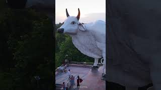 ITAHARI DRONE VIEW SHREE KRISHNA JANMA ASTAMI